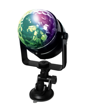 Descriptive image text